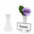 Rental store for FLOWER BUD VASE - FOR SALE in Cleveland OH